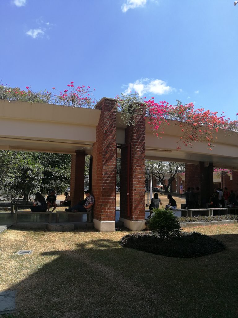 アテネオ大学(Ateneo de Manila University)の廊下