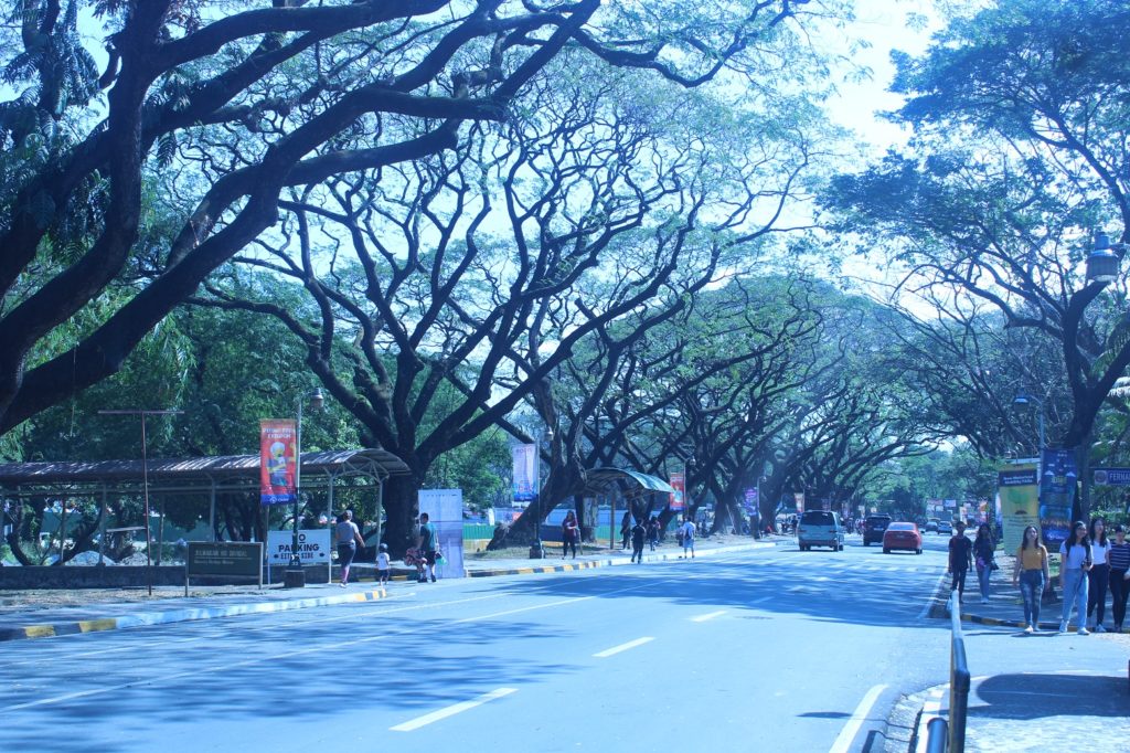 フィリピン国立大学ディリマン校（University of the Philippines Diliman）のキャンパス