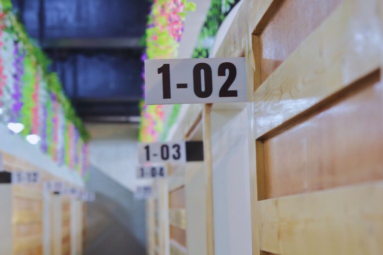 xr:d:DAF_6VCzOS0:25,j:2392960347997352744,t:24032802