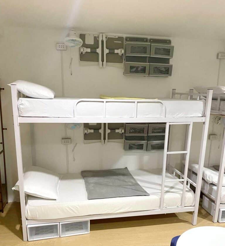 474162382_475842185575670_7471615299127007528_n