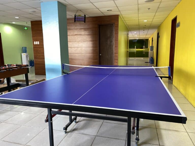 MAIN_pingpong