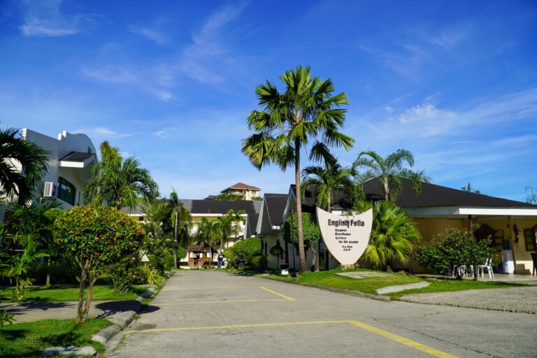 31c32e42cb07fbd838fb3907f8604cc6