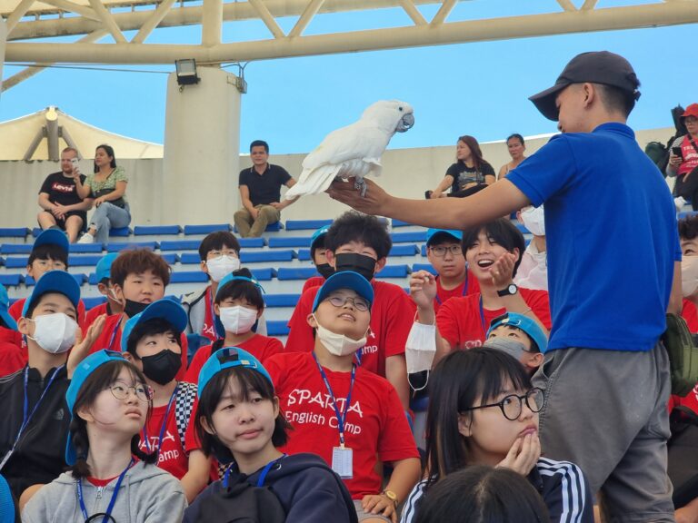 CIJ_Outdoor activities 14