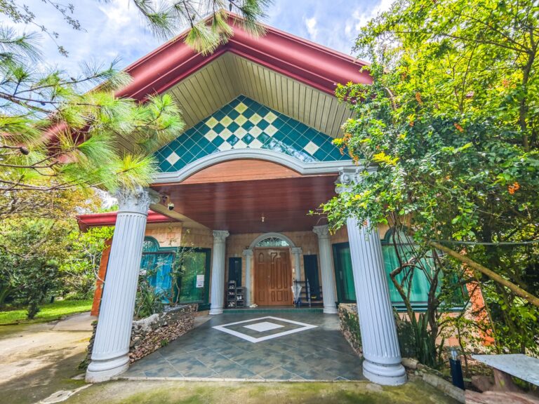 IMG_20240805_113116_1 (1)