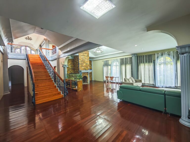 IMG_20240805_113157 (1)