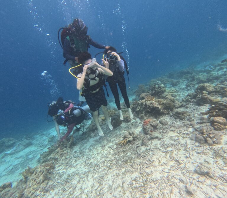 LINE_ALBUM_アイランドホッピング写真（利用可）_240809_3