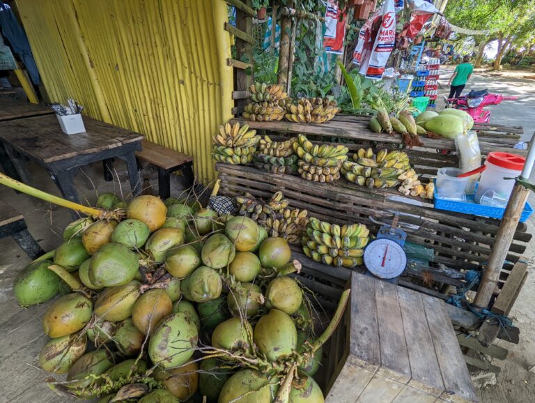 PXL_20220504_074432990