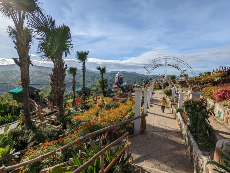 PXL_20220504_080736923