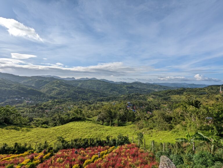 PXL_20220504_082019551