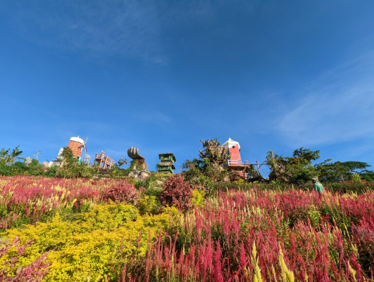 PXL_20220504_083348240