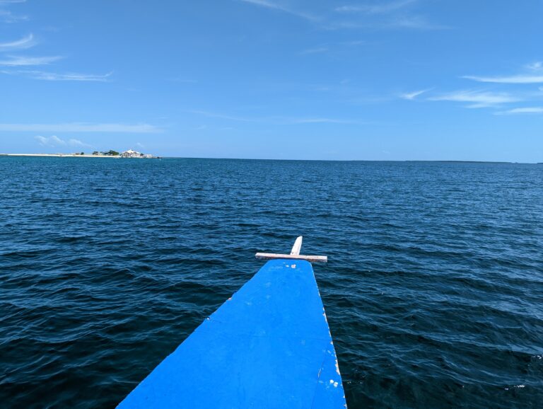 PXL_20221217_024305431