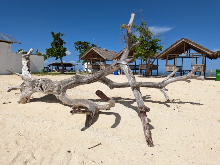 PXL_20221217_025728382