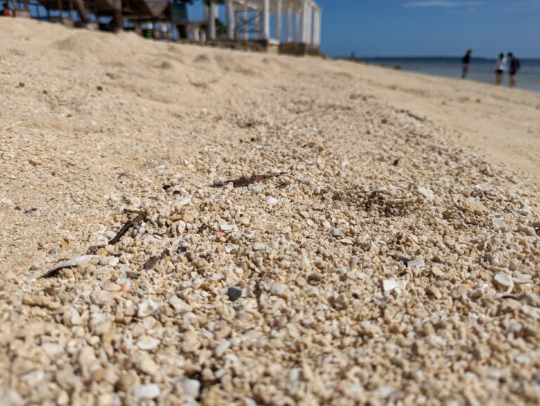 PXL_20221217_025819818