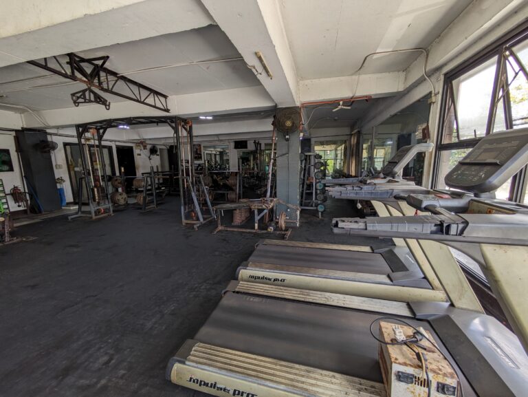 PXL_20240330_030435439