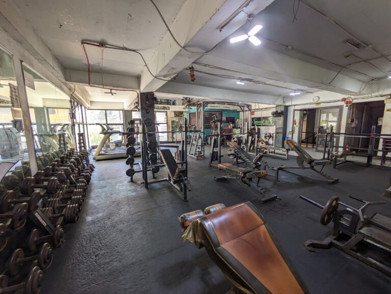 PXL_20240330_030510812