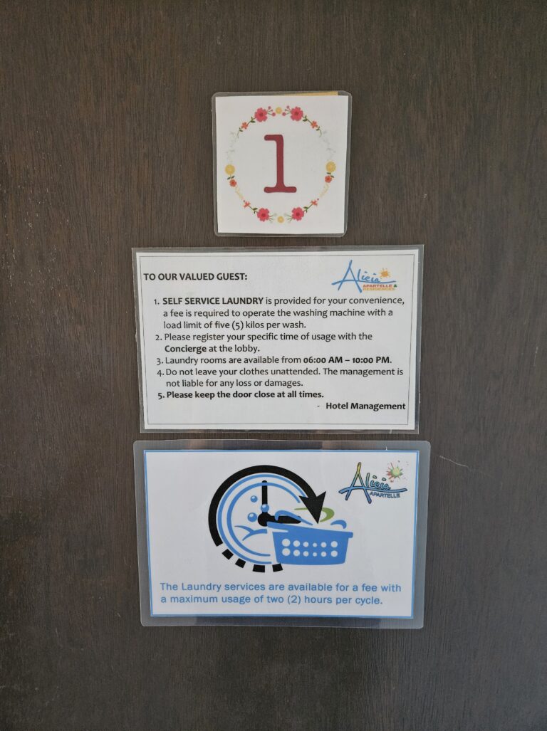 セルフランドリー (1)