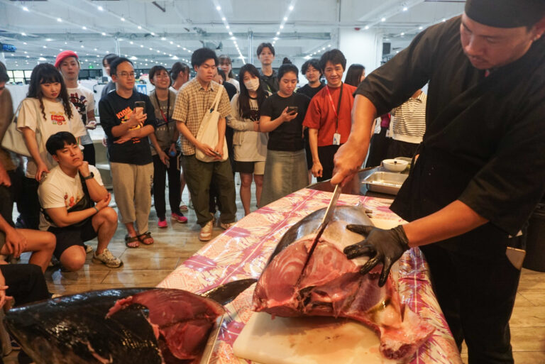 マグロ解体ショー(1)